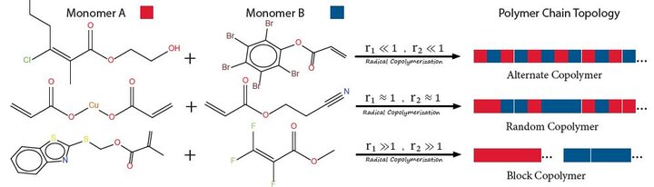 Effect of Reactivity Ratio on Polymer Chain Topology